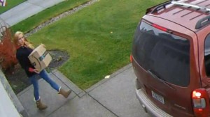 package theft 1