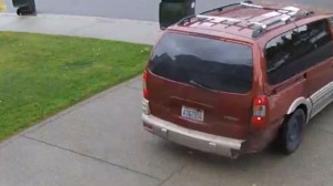 package theft 2